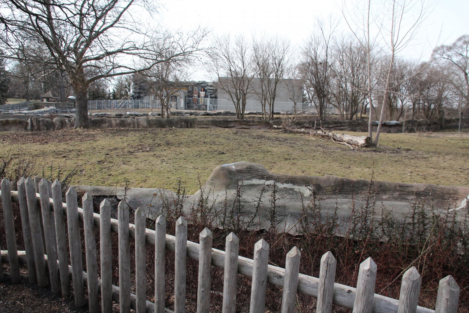 Detroit Zoo - Grevy's Zebras enclosure