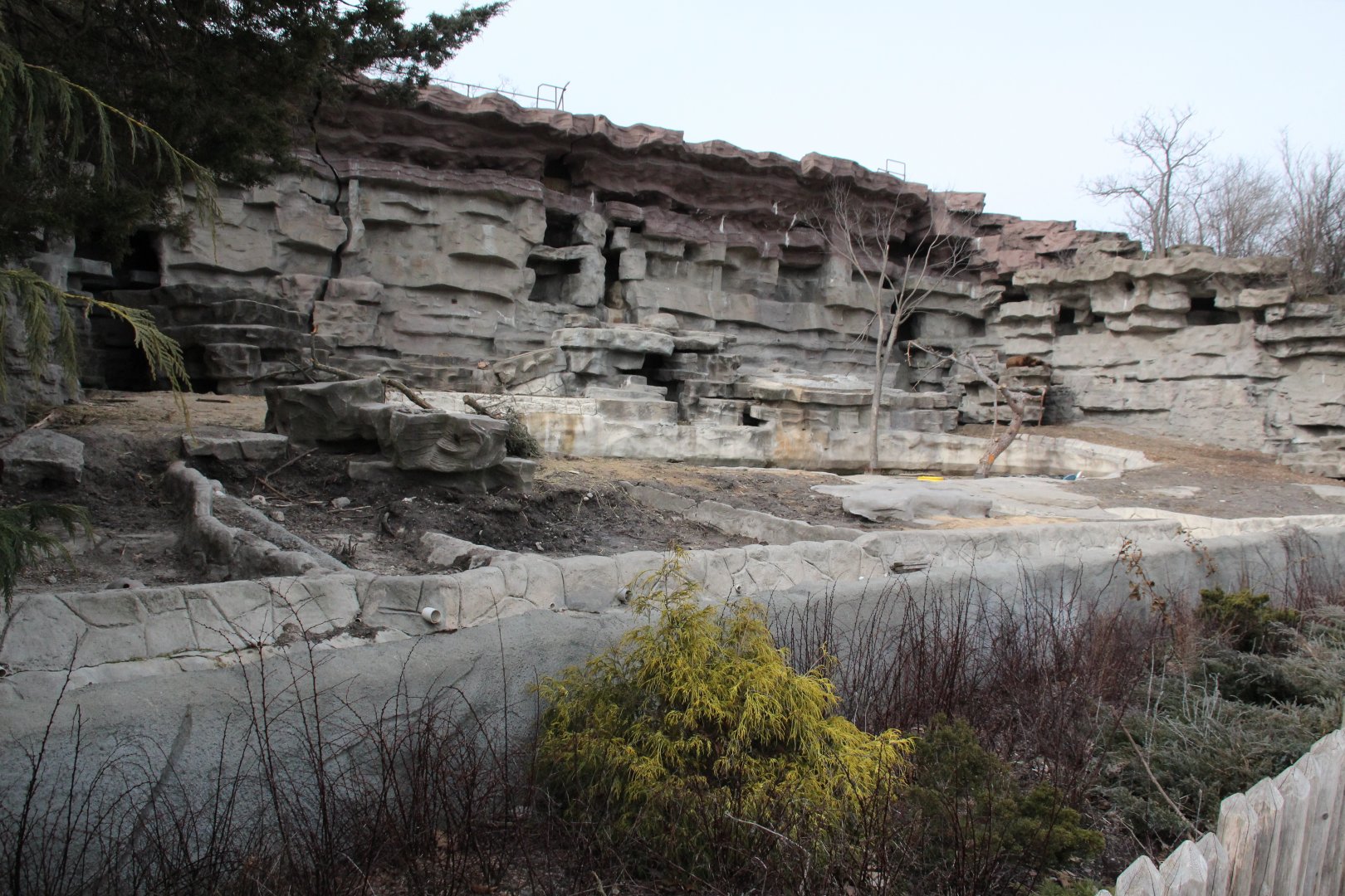 Detroit Zoo - Grizzly Bear exhibit