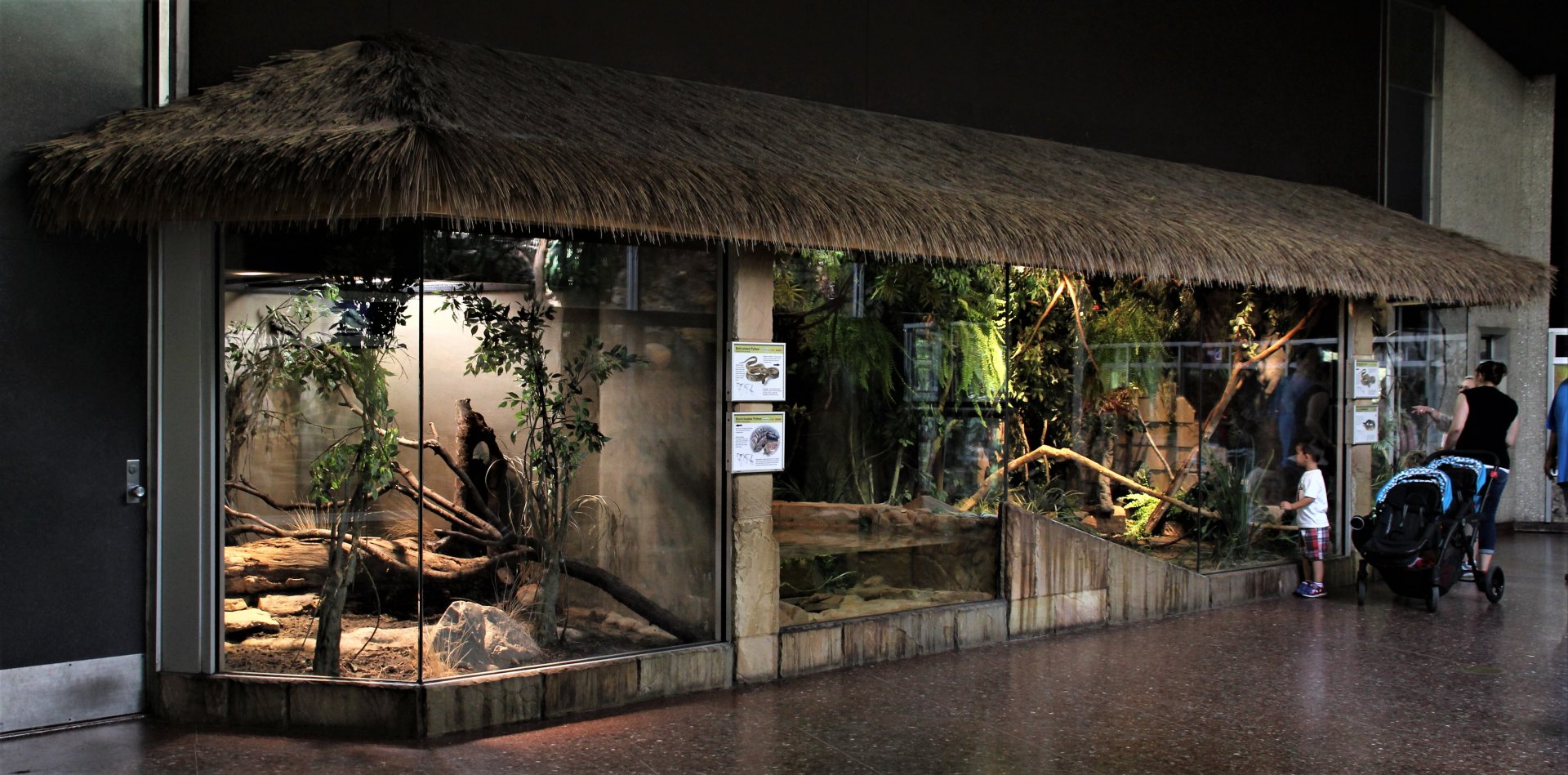 Detroit Zoo - Holden Reptile Conservation Center - Summer/Fall, 2016