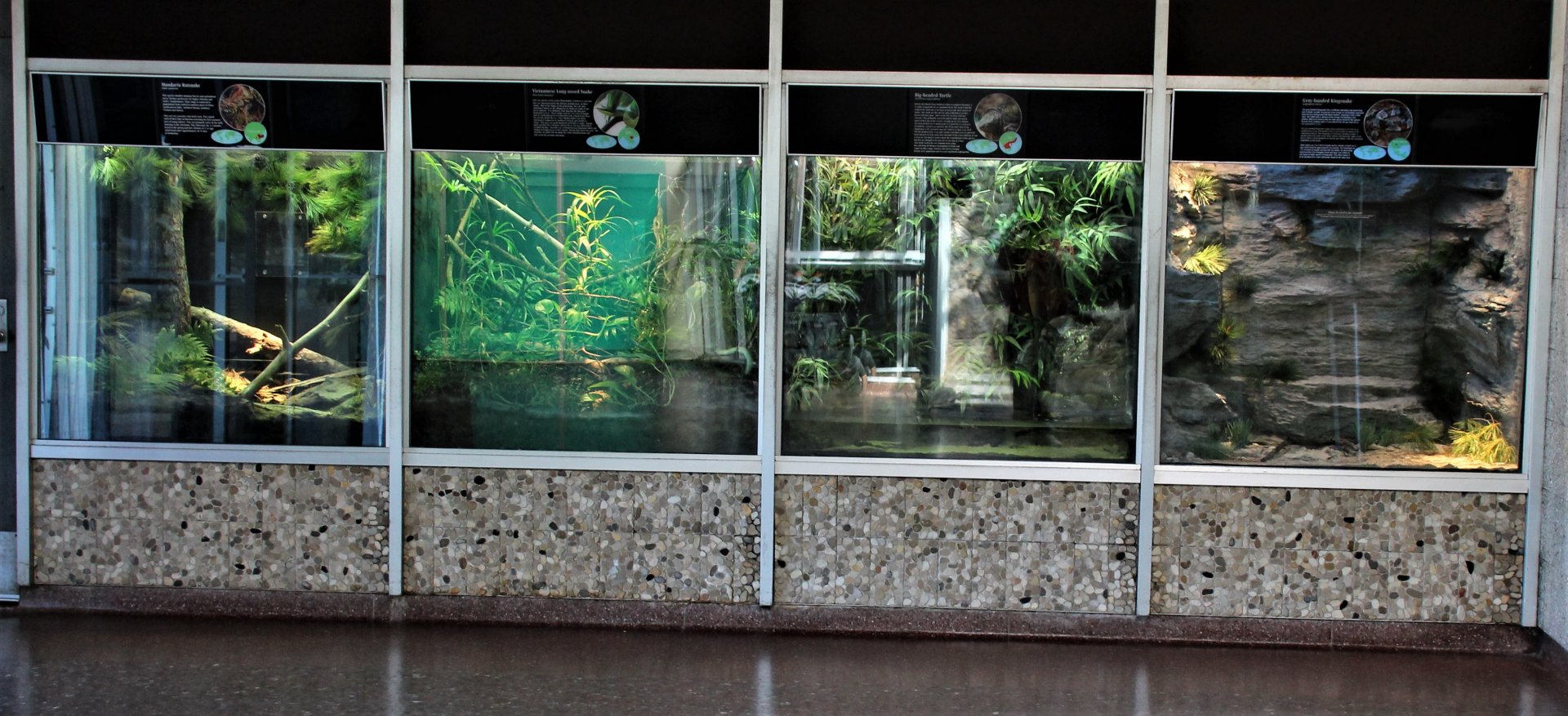 Detroit Zoo - Holden Reptile Conservation Center - Summer/Fall, 2016