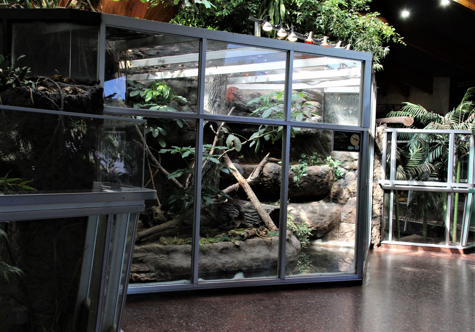 Detroit Zoo - Holden Reptile Conservation Center - Summer/Fall, 2016