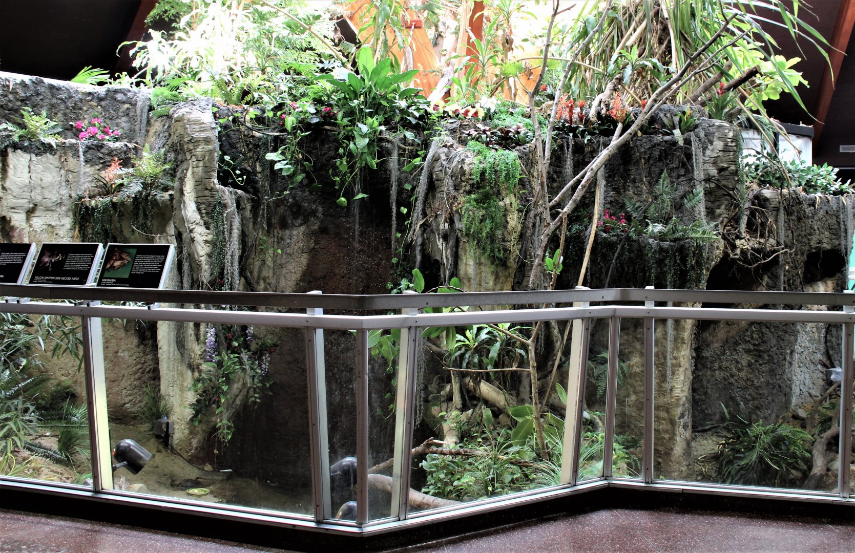 Detroit Zoo - Holden Reptile Conservation Center - Summer/Fall, 2016