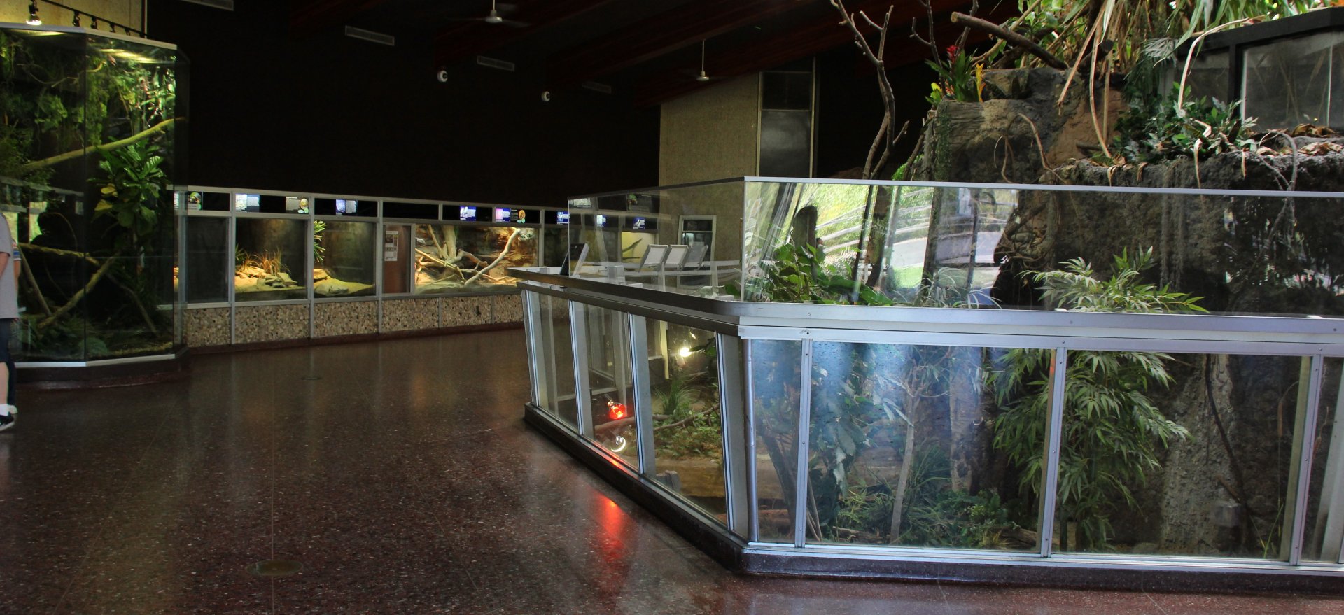 Detroit Zoo - Holden Reptile Conservation Center - Summer/Fall, 2016