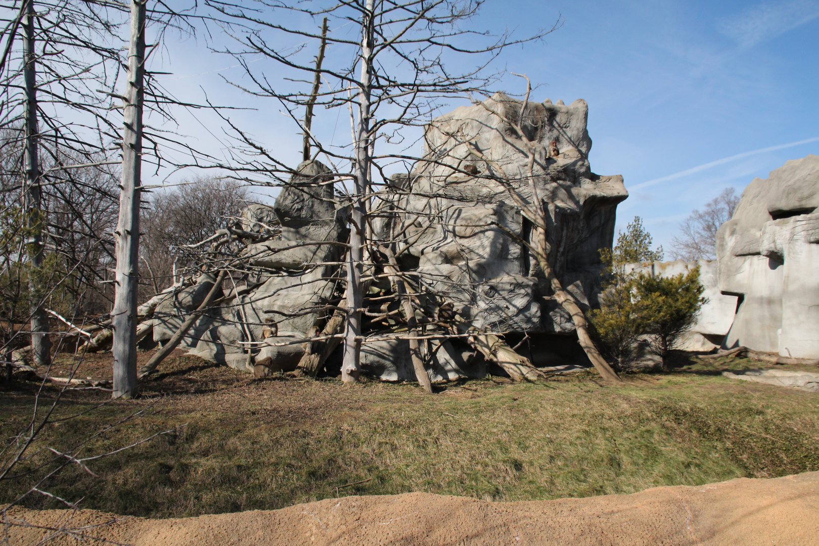 Detroit Zoo - Japanese Macaque enclosure