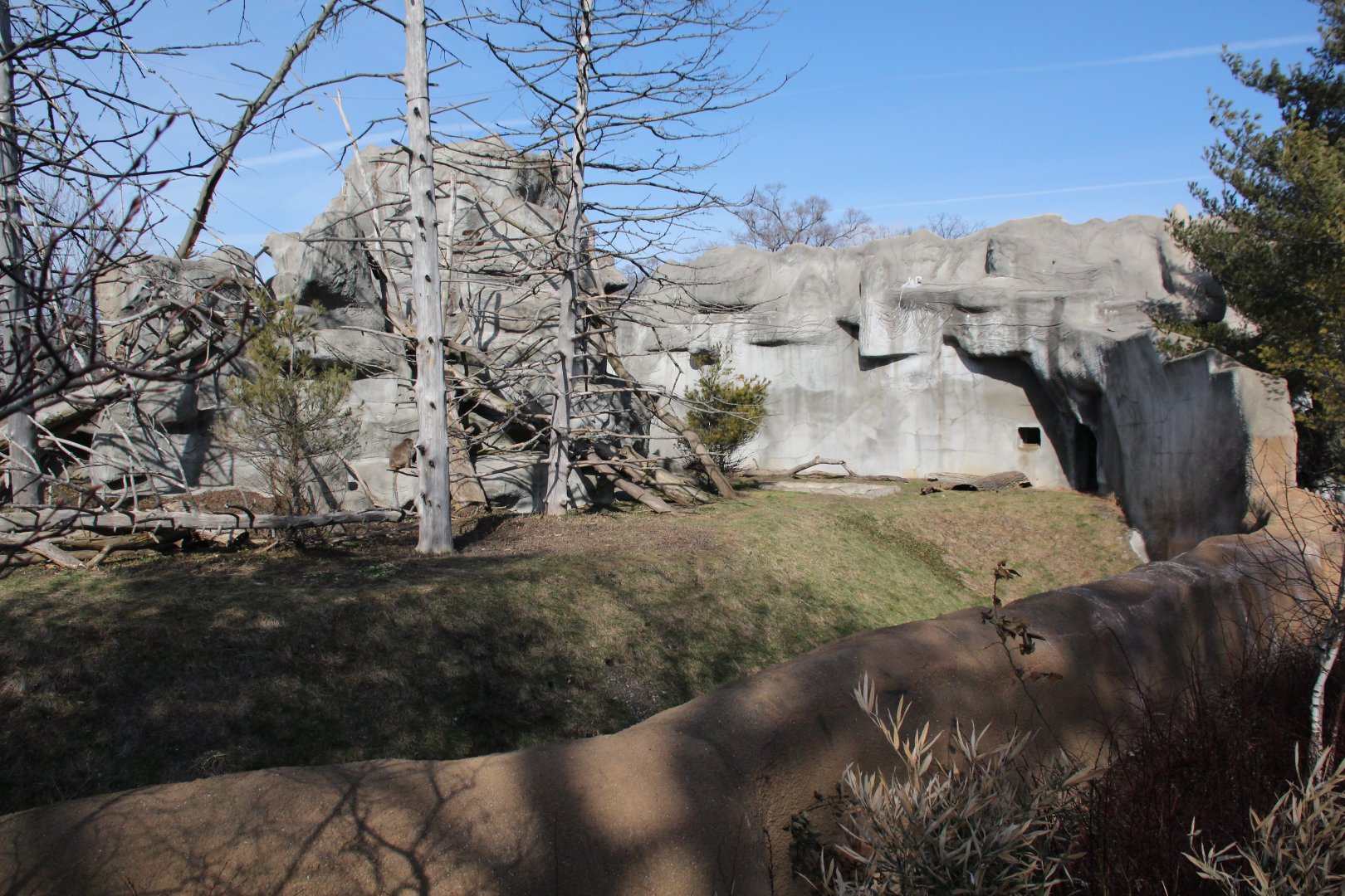 Detroit Zoo - Japanese Macaque enclosure