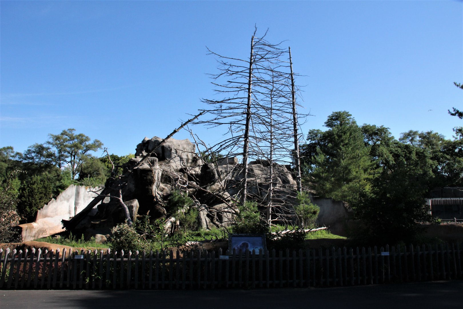 Detroit Zoo - Japanese Macaque habitat - Summer, 2016