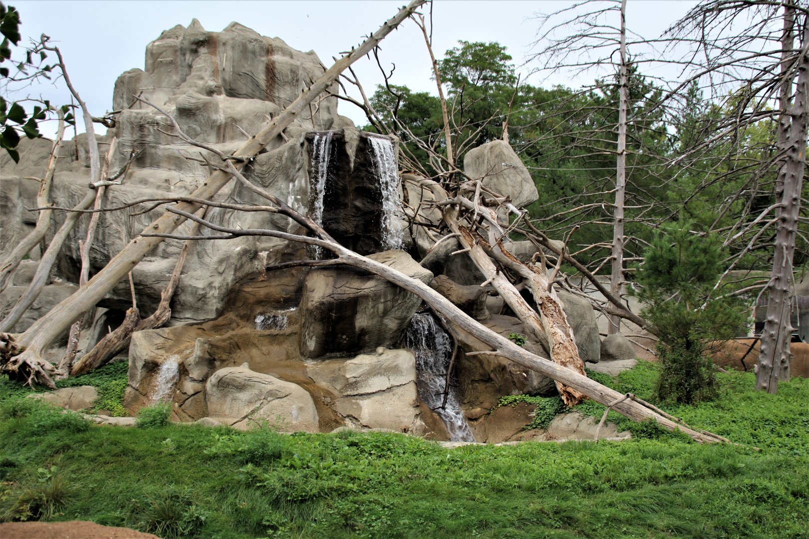 Detroit Zoo - Japanese Macaque habitat - Summer, 2016