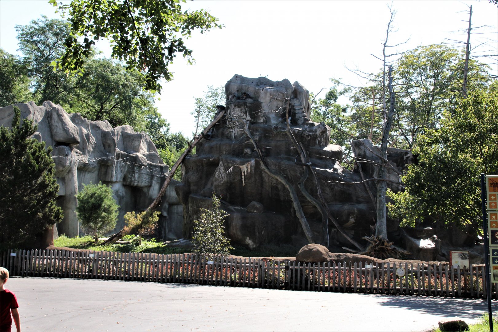 Detroit Zoo - Japanese Macaque habitat - Summer, 2016