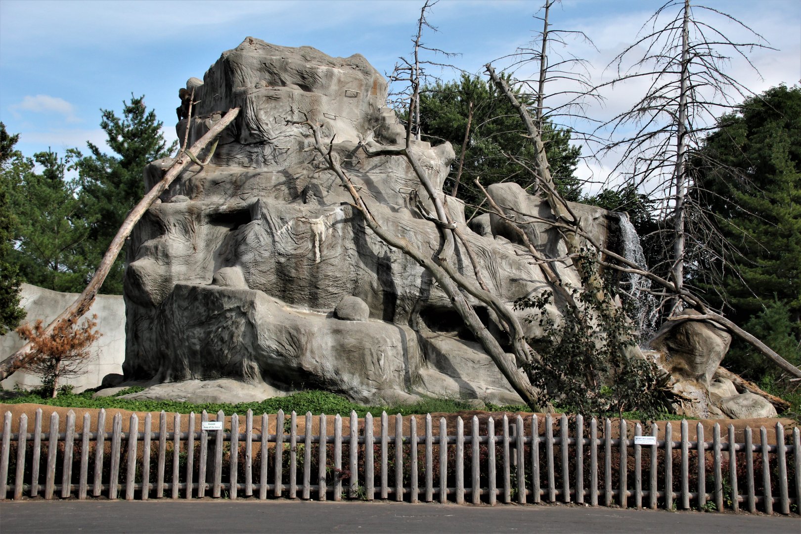 Detroit Zoo - Japanese Macaque habitat - Summer, 2016
