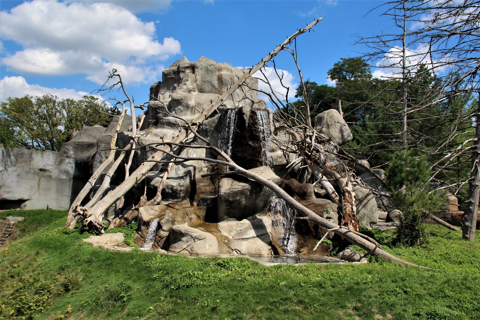 Detroit Zoo - Japanese Macaque habitat - Summer, 2016
