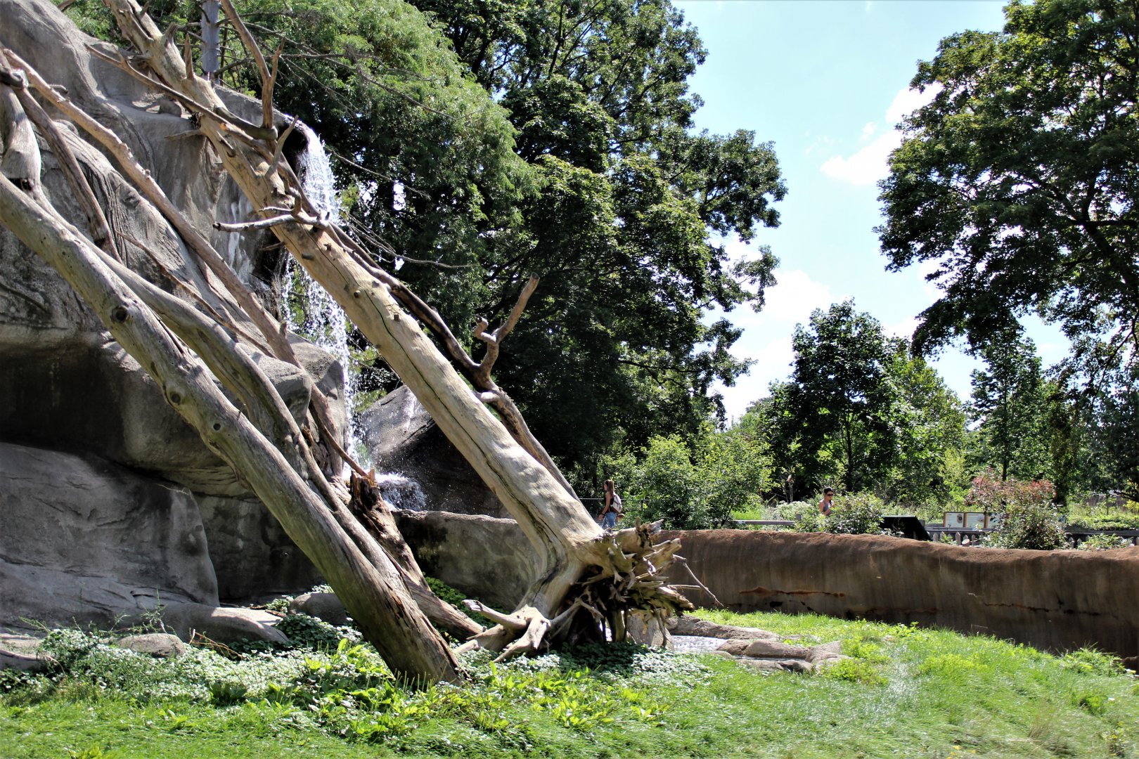 Detroit Zoo - Japanese Macaque habitat - Summer, 2016