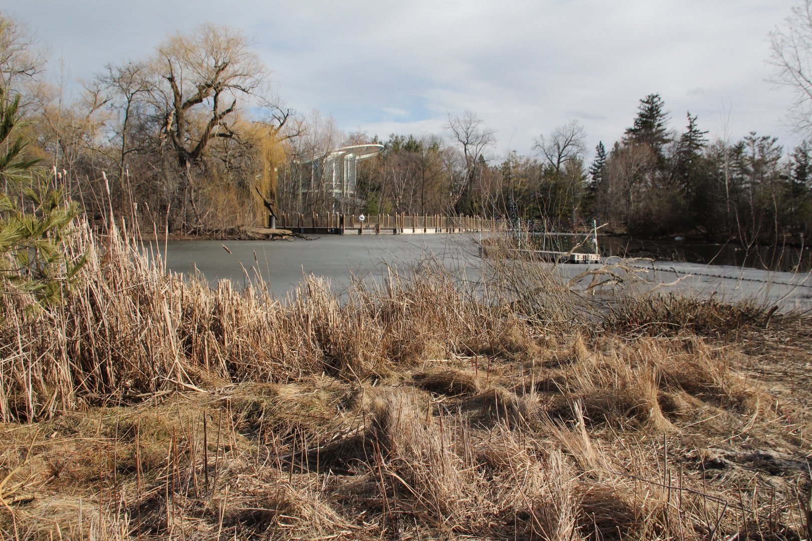 Detroit Zoo - Lake and boardwalk