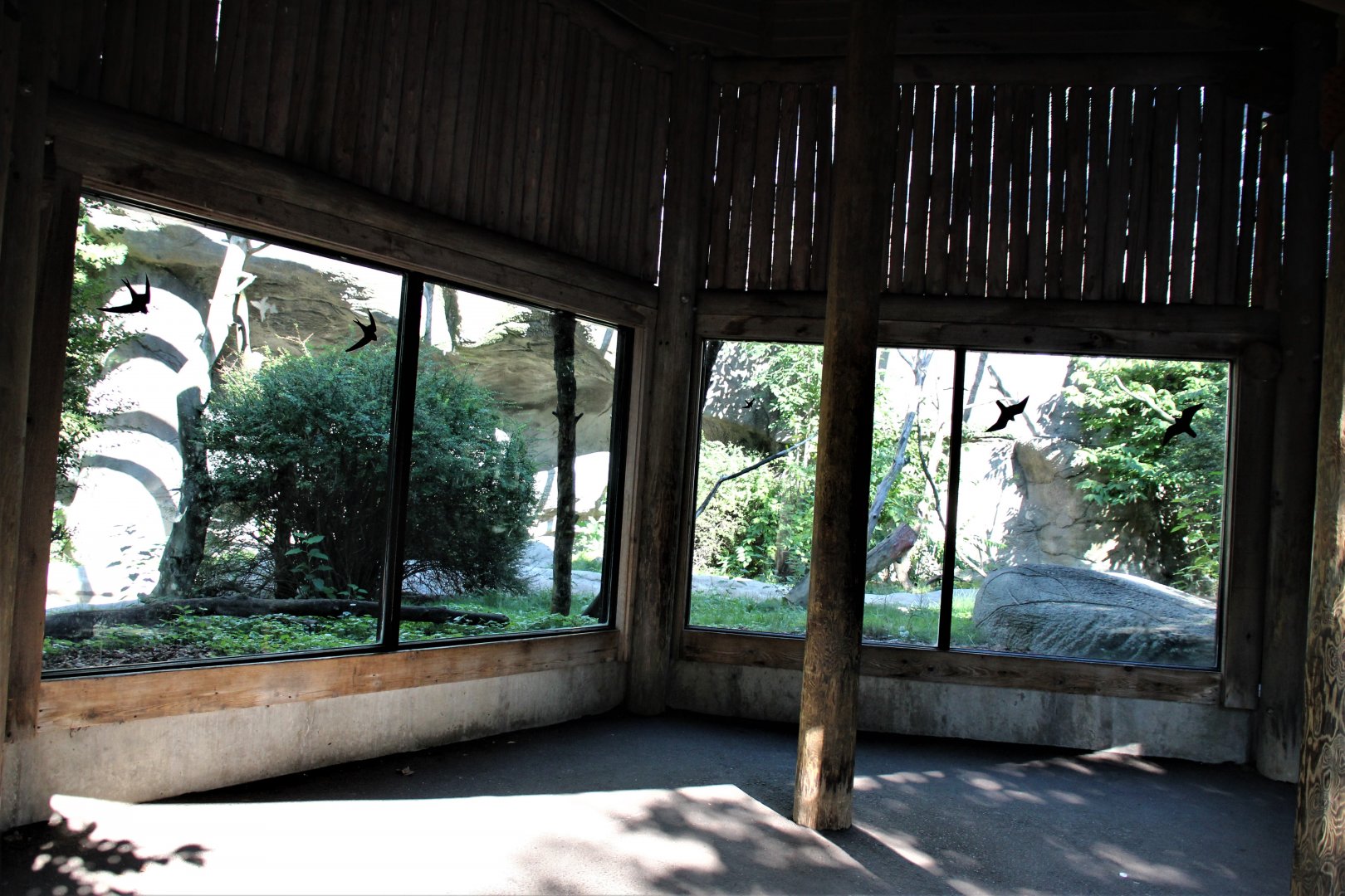 Detroit Zoo - Lemur enclosure - Summer, 2016