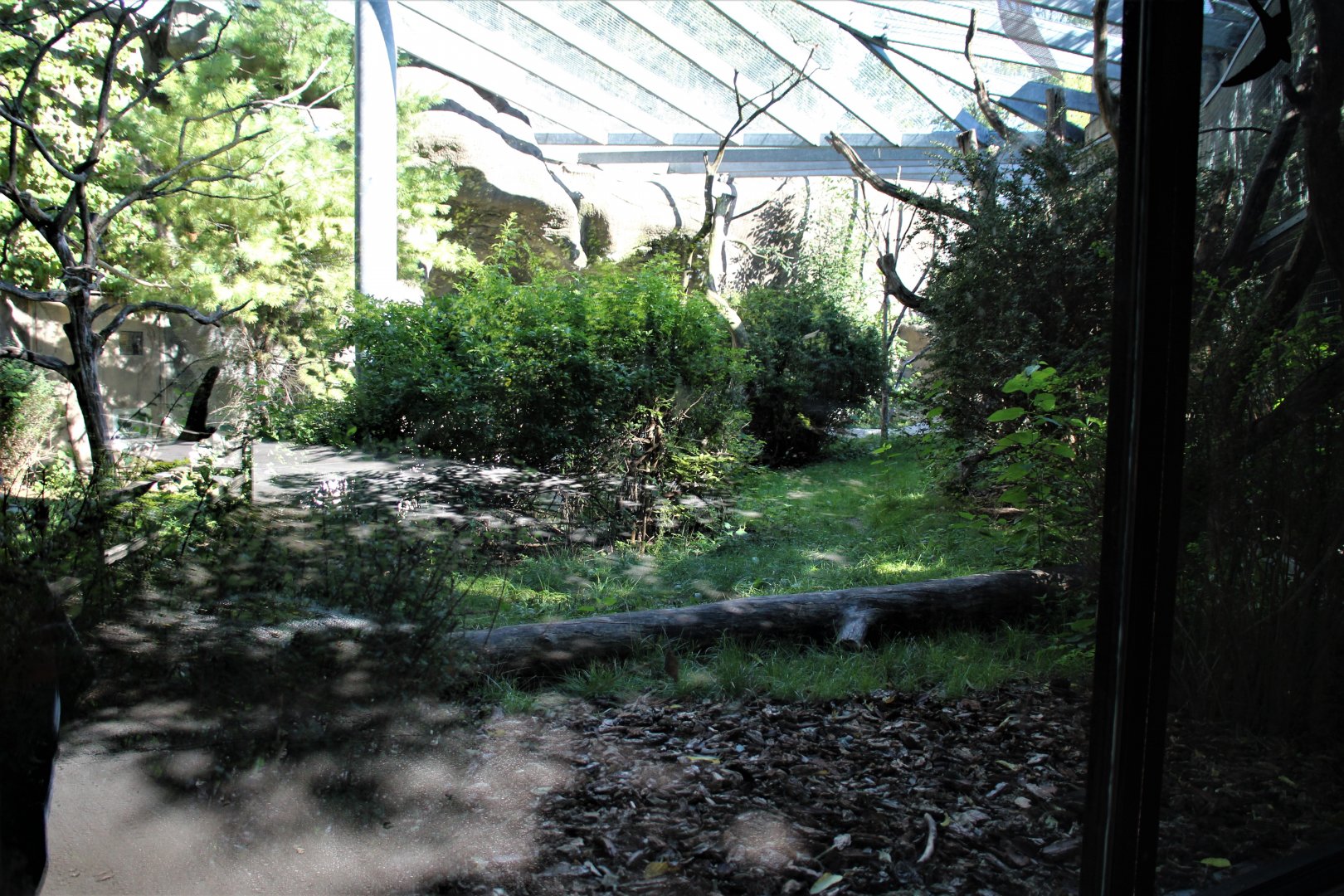 Detroit Zoo - Lemur enclosure - Summer, 2016