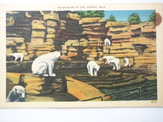 Detroit Zoo, Michigan