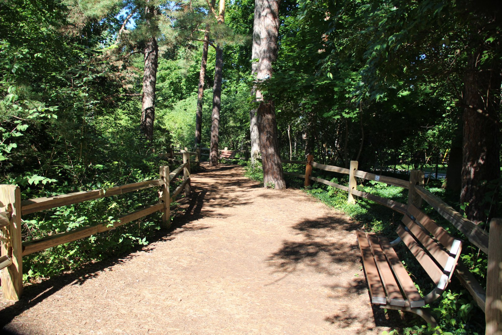 Detroit Zoo - Nature trail - September, 2016