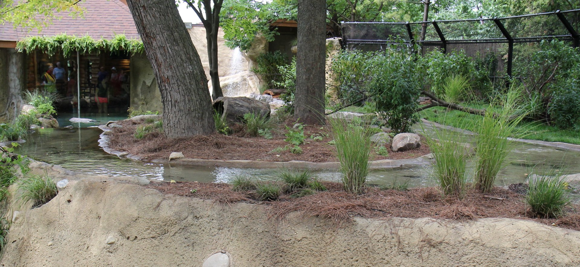 Detroit Zoo - North American River Otter Exhibit