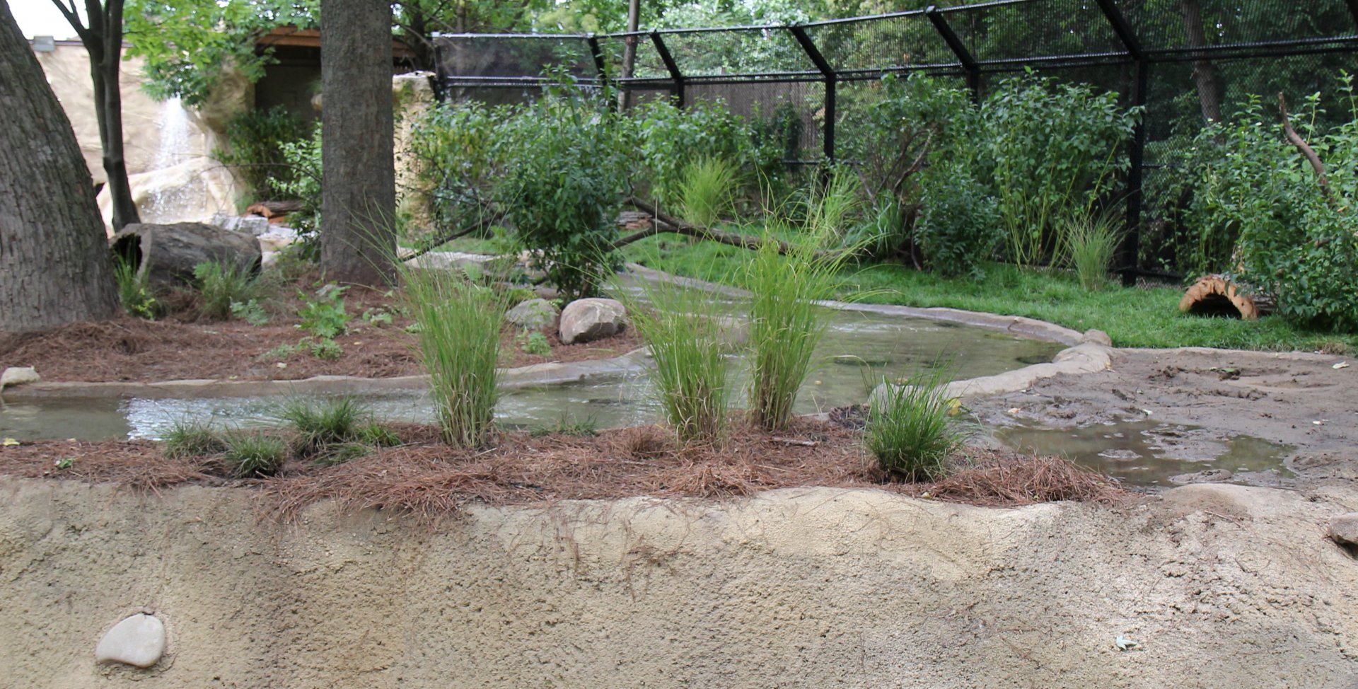 Detroit Zoo - North American River Otter Exhibit