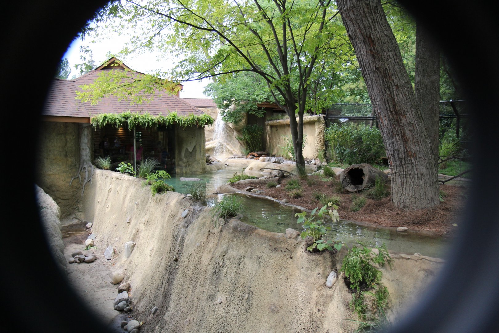 Detroit Zoo - North American River Otter Exhibit