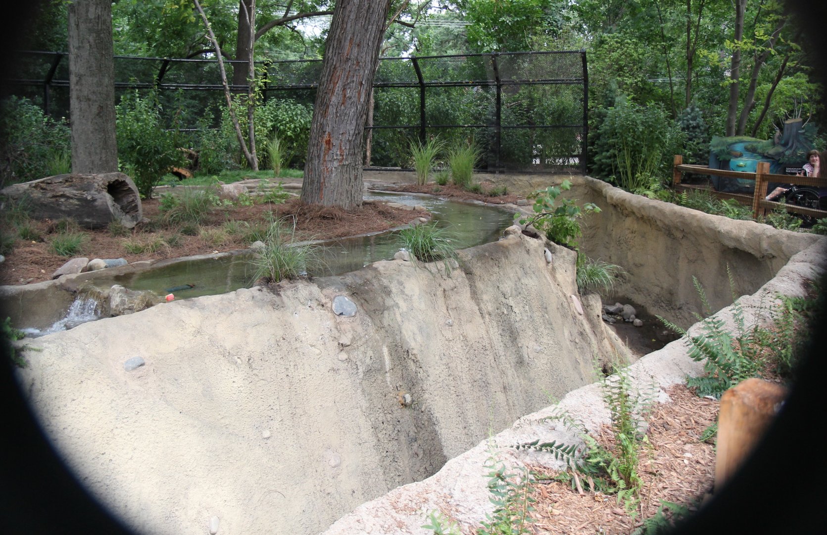 Detroit Zoo - North American River Otter Exhibit