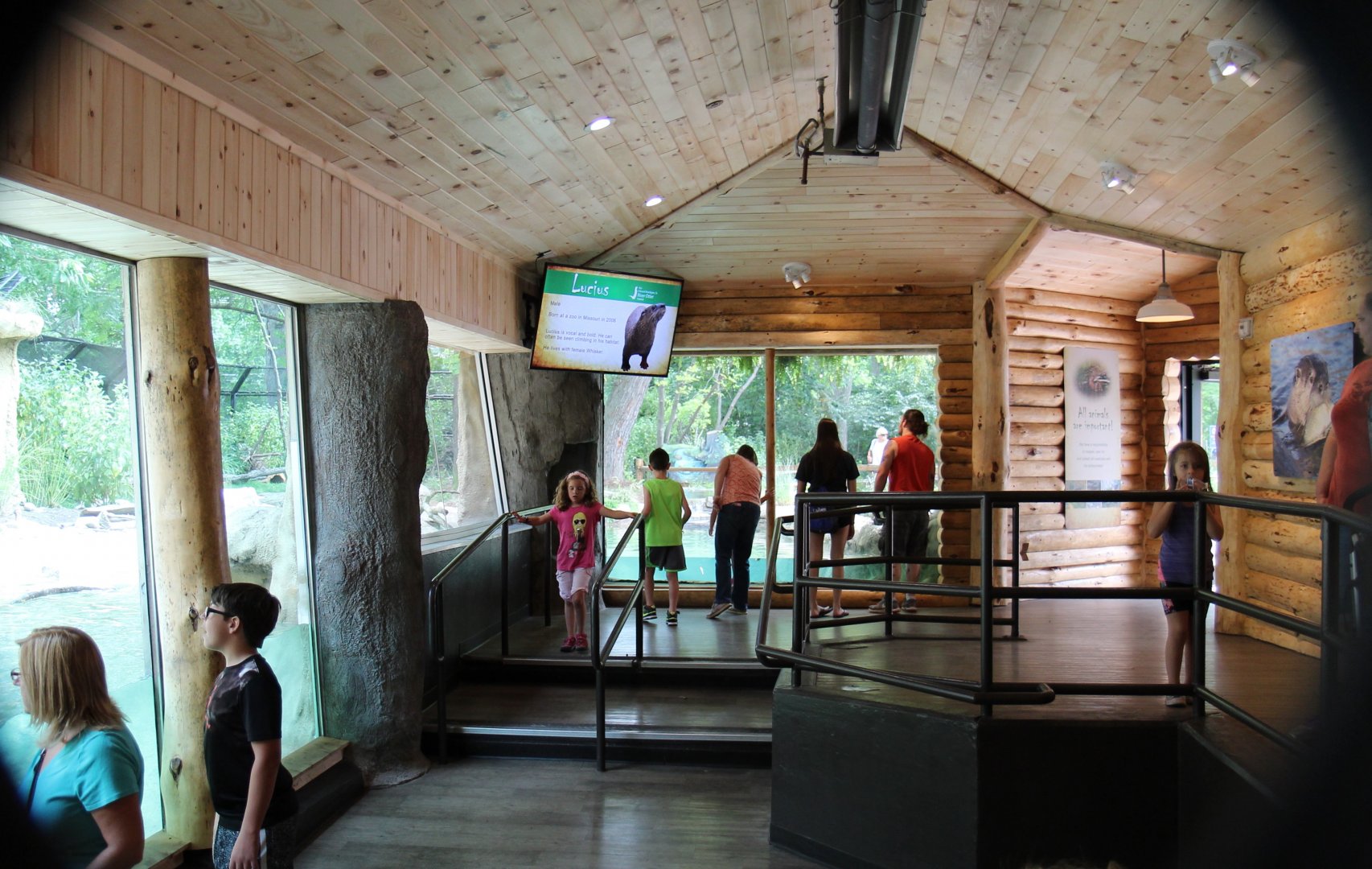 Detroit Zoo - North American River Otter Exhibit