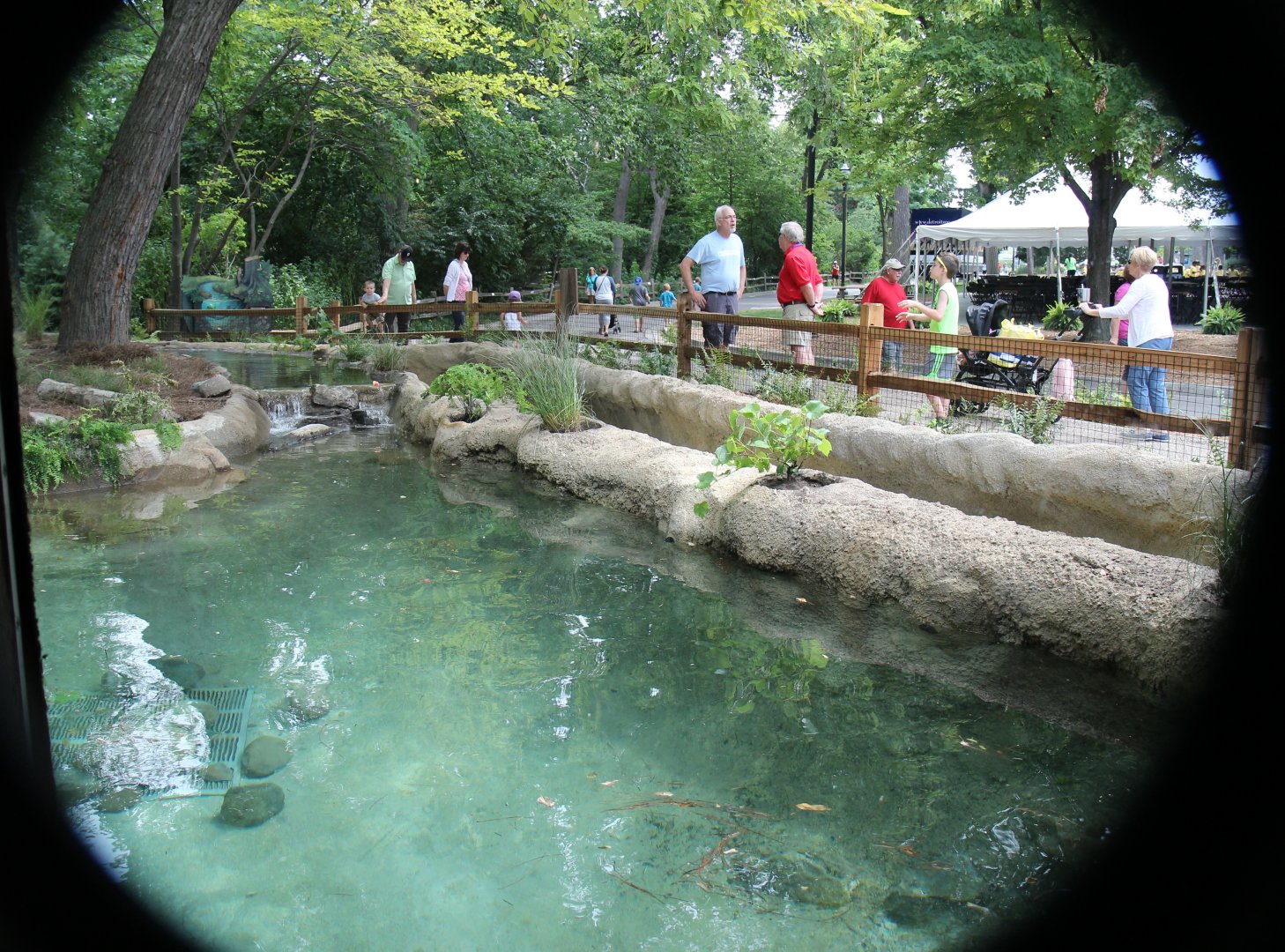 Detroit Zoo - North American River Otter Exhibit
