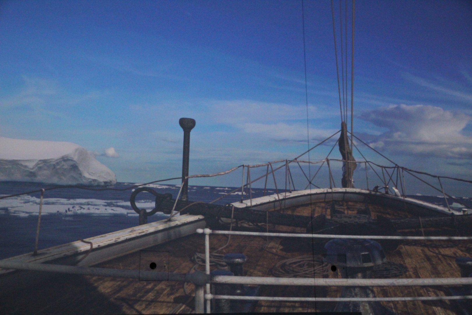 Detroit Zoo - Polk Penguin Conservation Center - September, 2016