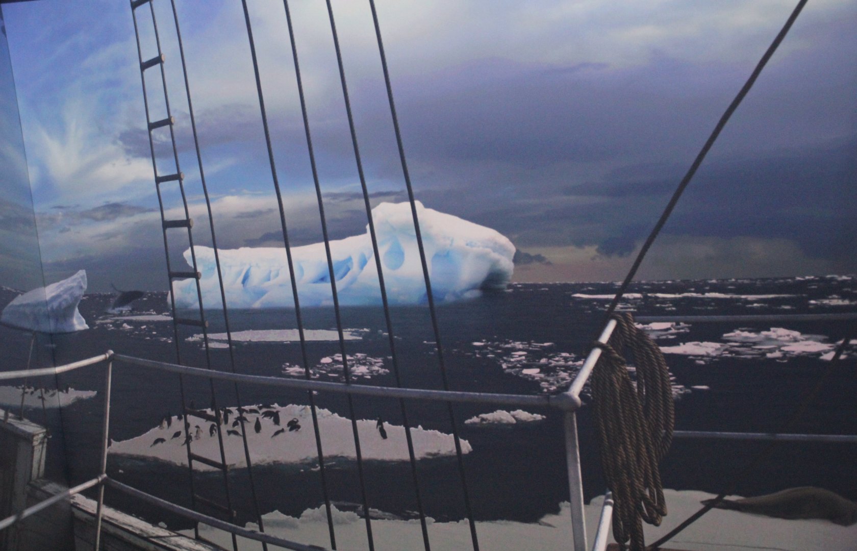 Detroit Zoo - Polk Penguin Conservation Center - September, 2016