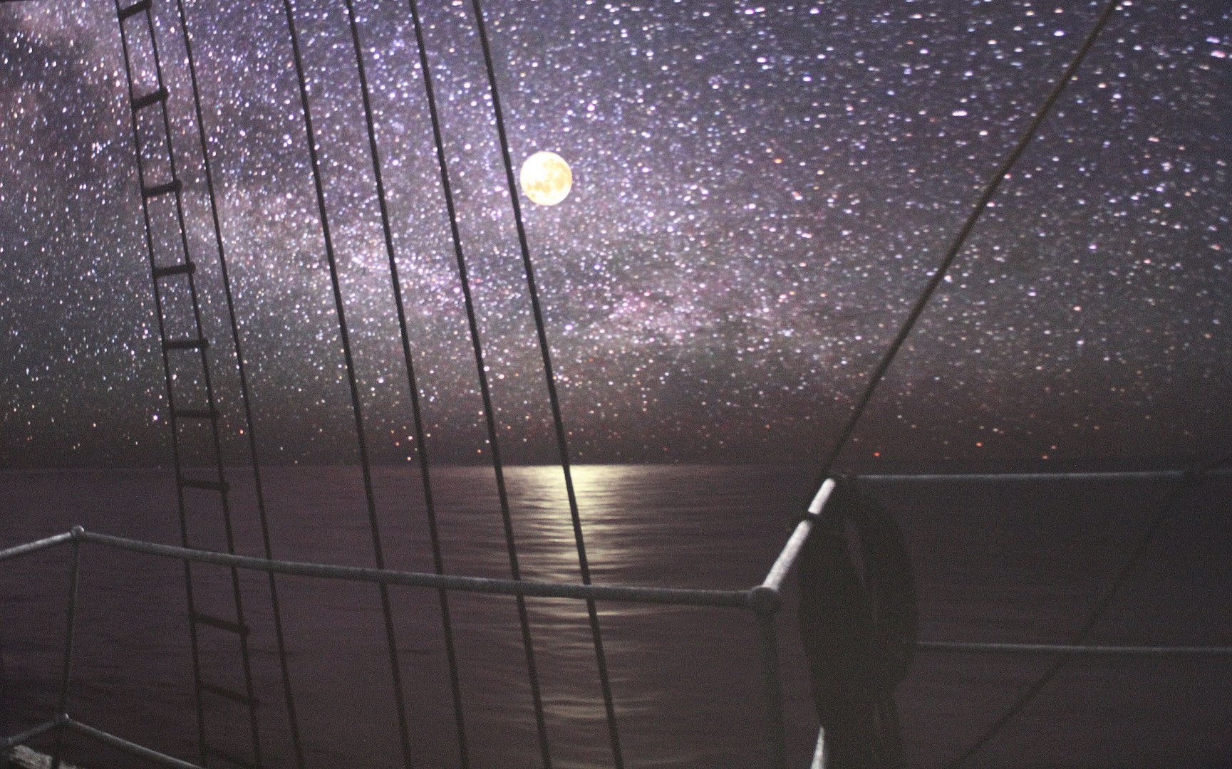 Detroit Zoo - Polk Penguin Conservation Center - September, 2016