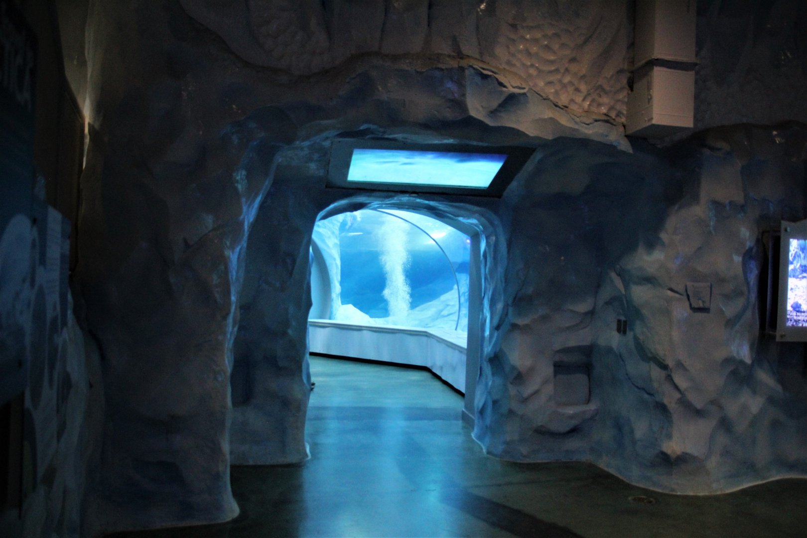 Detroit Zoo - Polk Penguin Conservation Center - Summer, 2016