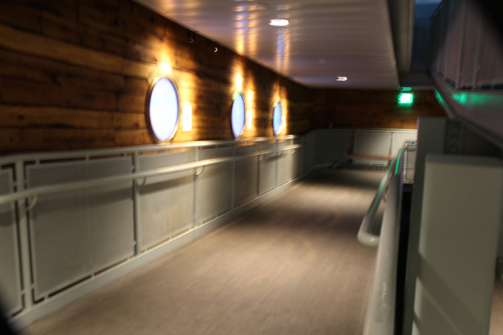 Detroit Zoo - Polk Penguin Conservation Center