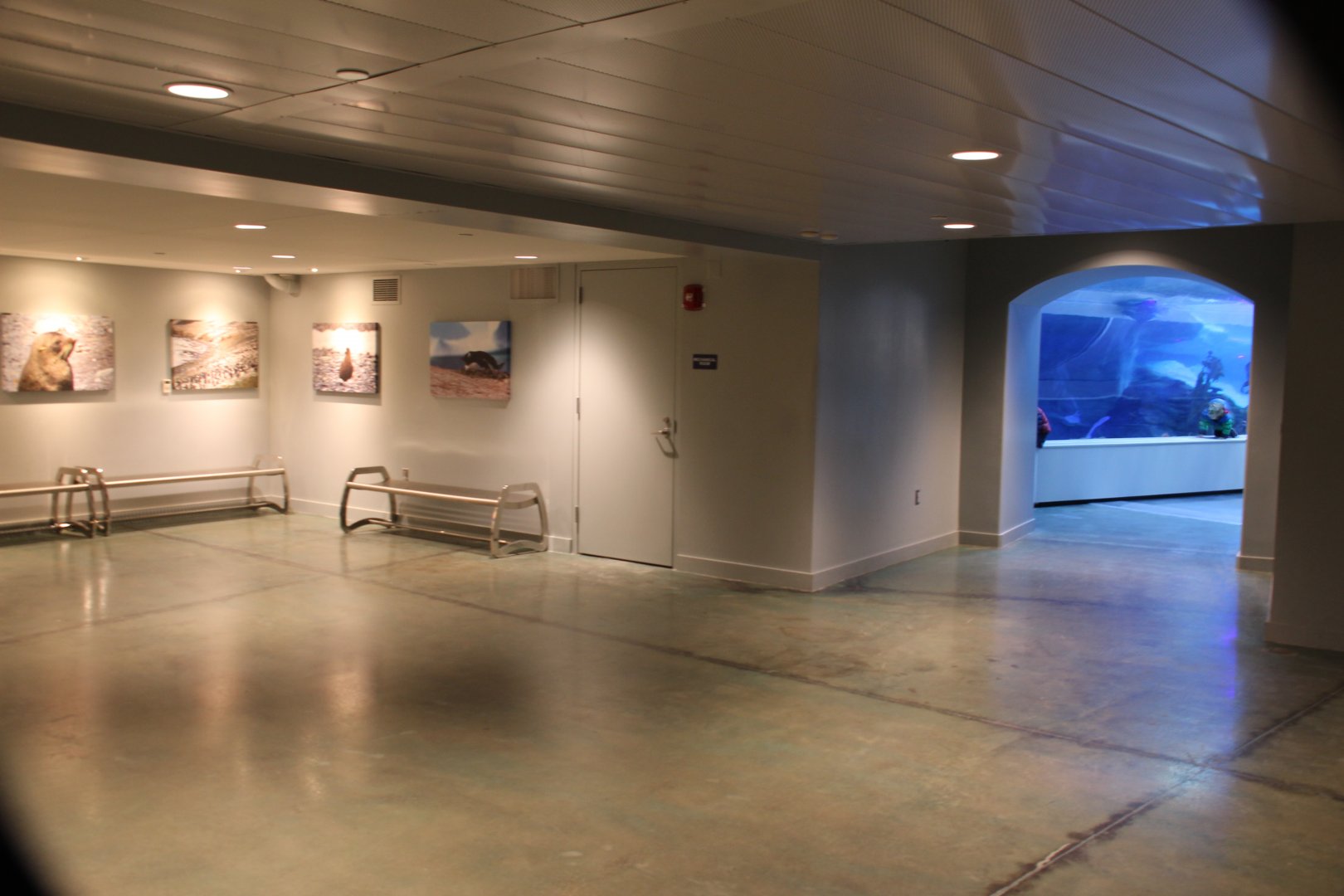 Detroit Zoo - Polk Penguin Conservation Center