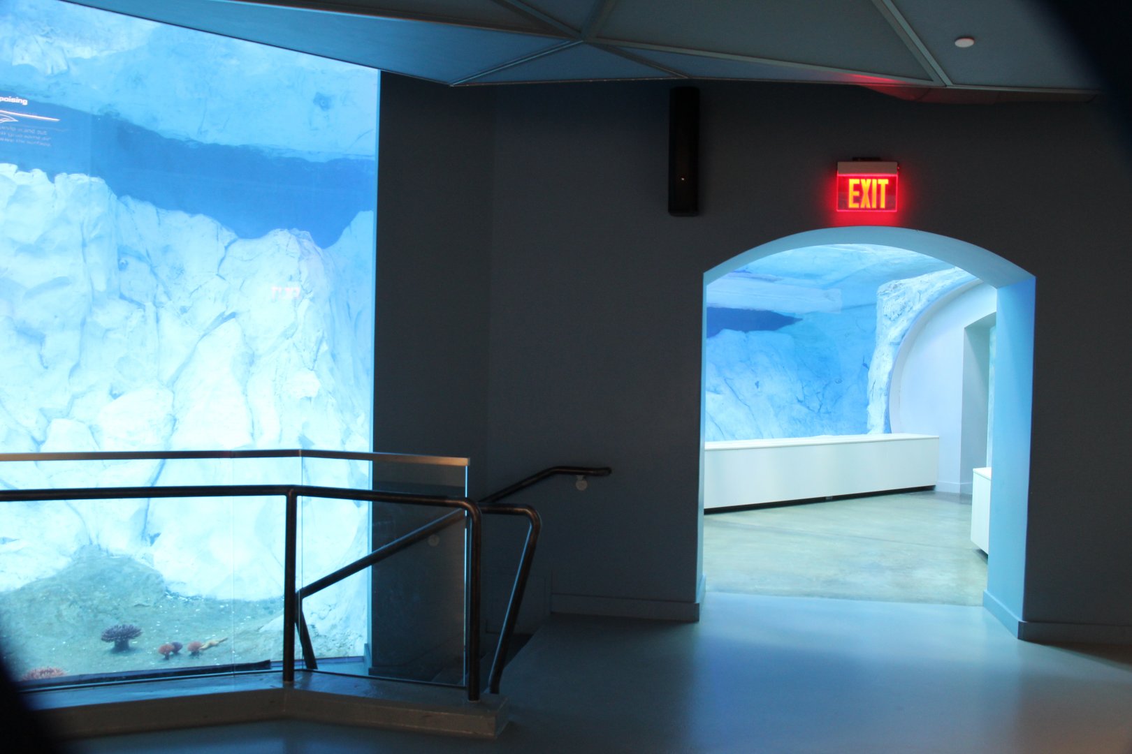 Detroit Zoo - Polk Penguin Conservation Center