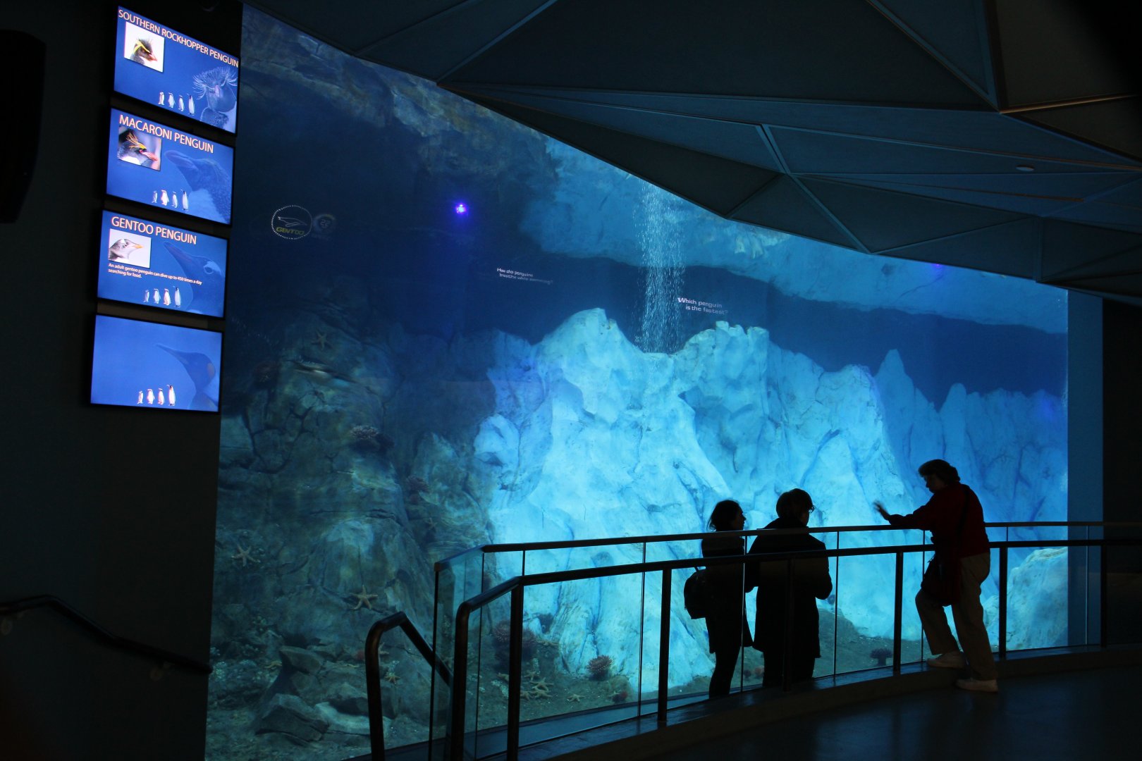 Detroit Zoo - Polk Penguin Conservation Center -