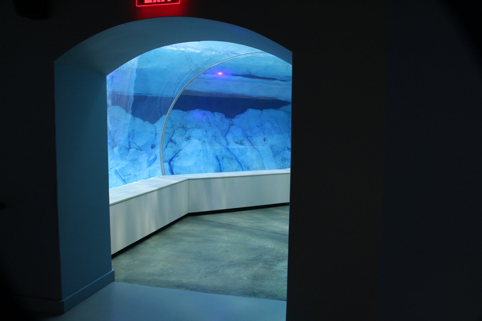 Detroit Zoo - Polk Penguin Conservation Center