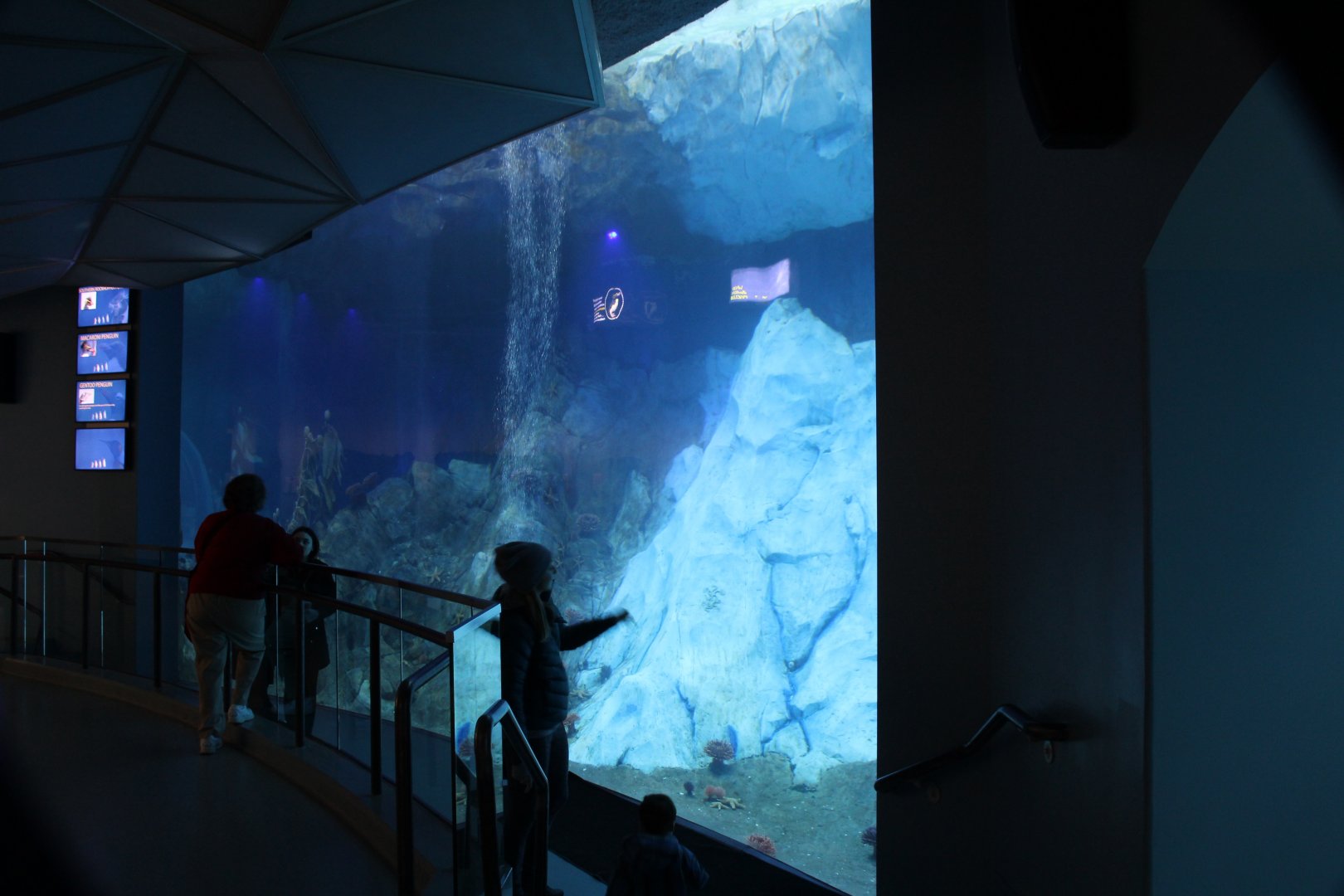 Detroit Zoo - Polk Penguin Conservation Center