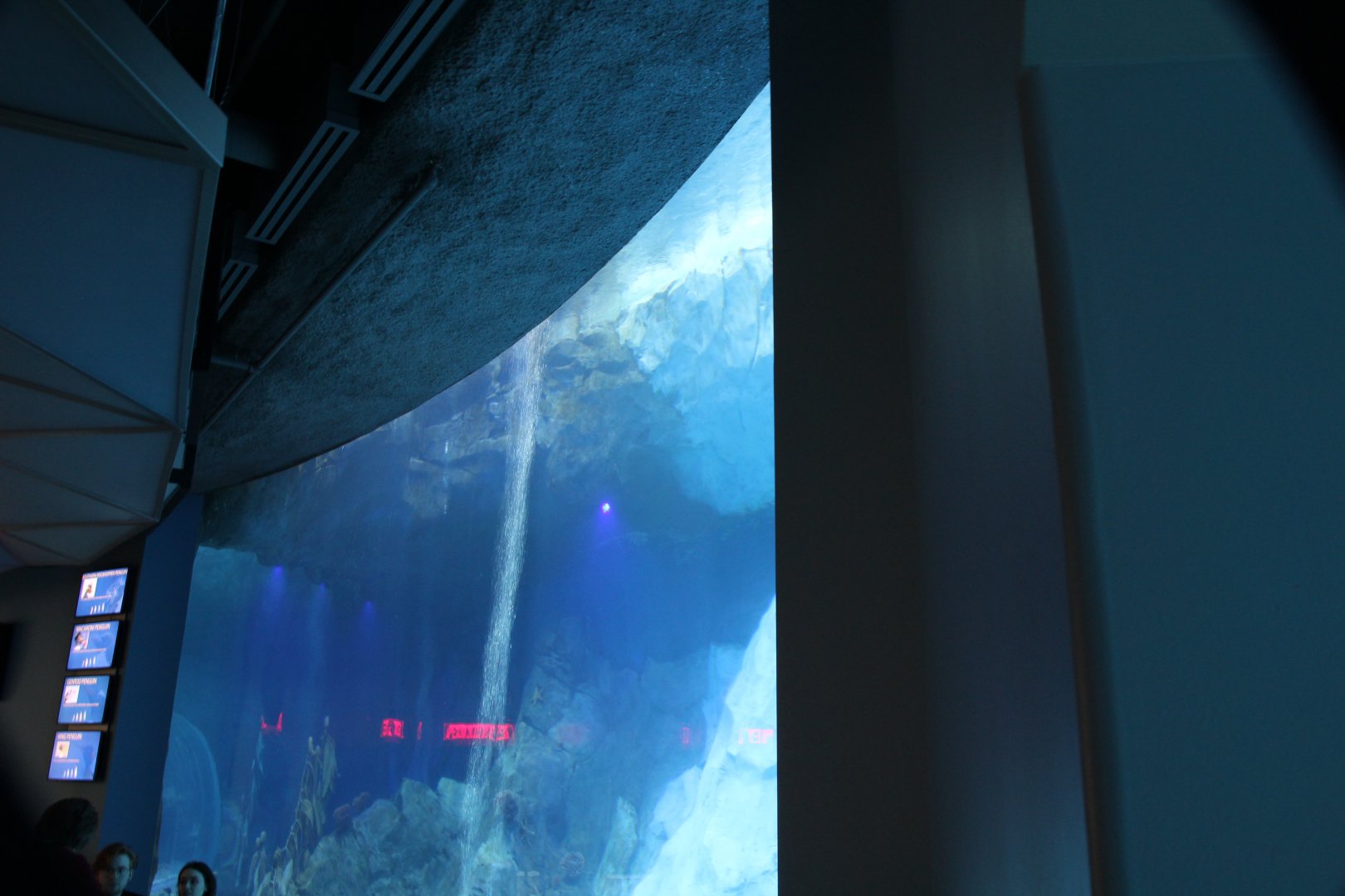 Detroit Zoo - Polk Penguin Conservation Center