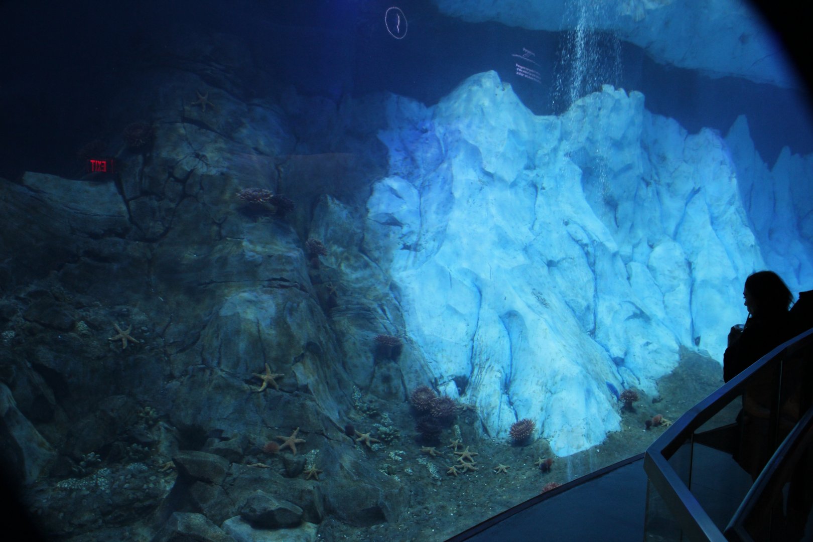 Detroit Zoo - Polk Penguin Conservation Center