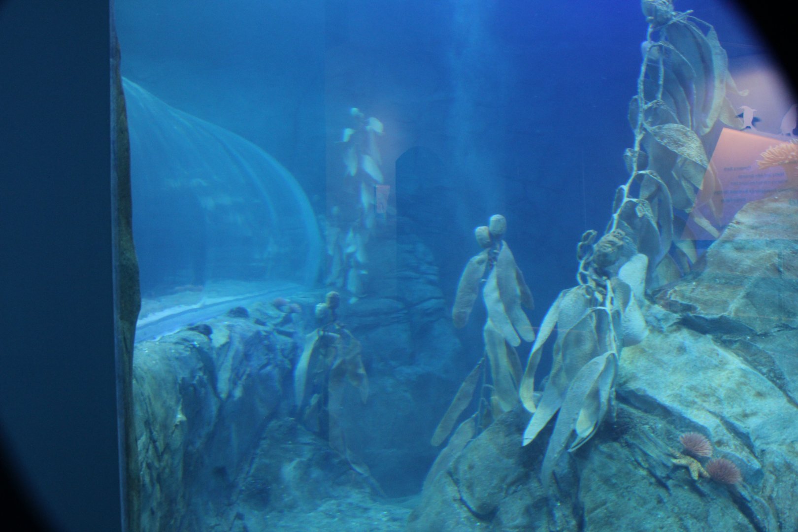 Detroit Zoo - Polk Penguin Conservation Center