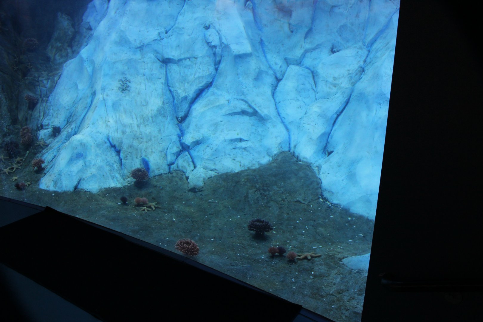 Detroit Zoo - Polk Penguin Conservation Center