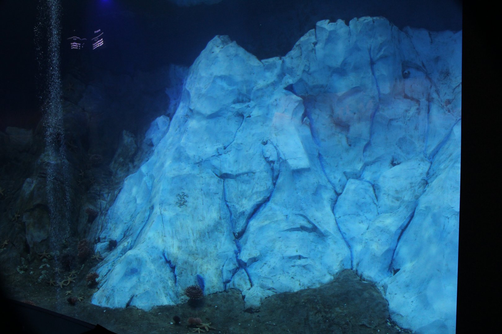 Detroit Zoo - Polk Penguin Conservation Center