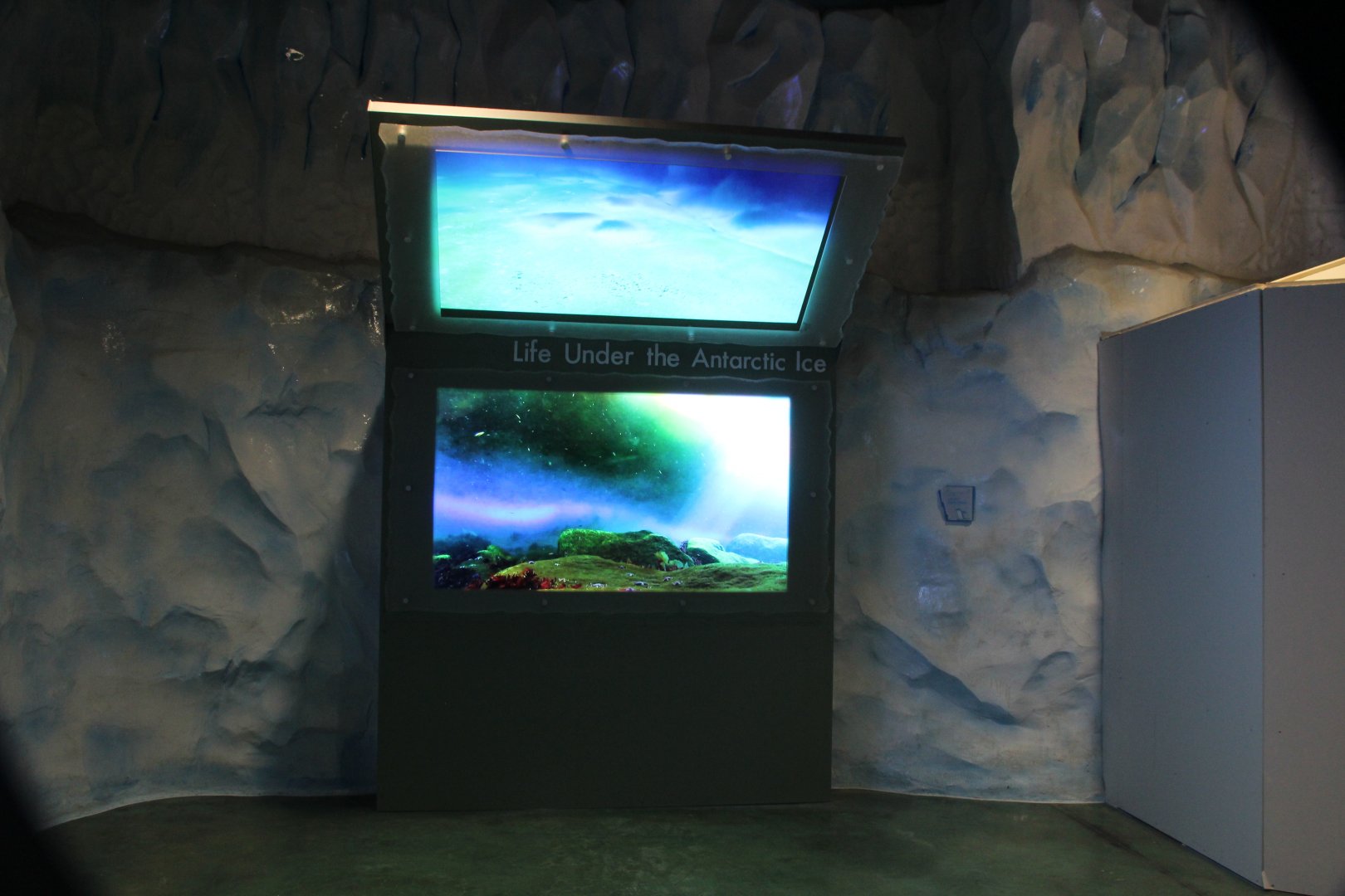 Detroit Zoo - Polk Penguin Conservation Center