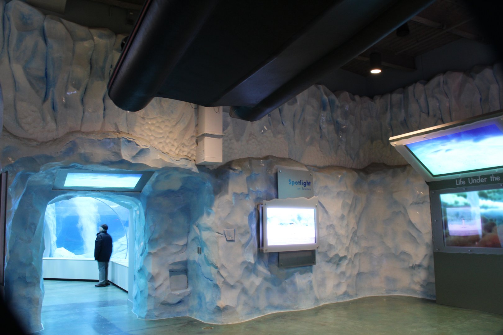 Detroit Zoo - Polk Penguin Conservation Center