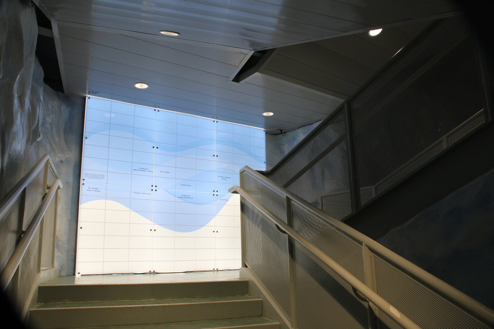 Detroit Zoo - Polk Penguin Conservation Center