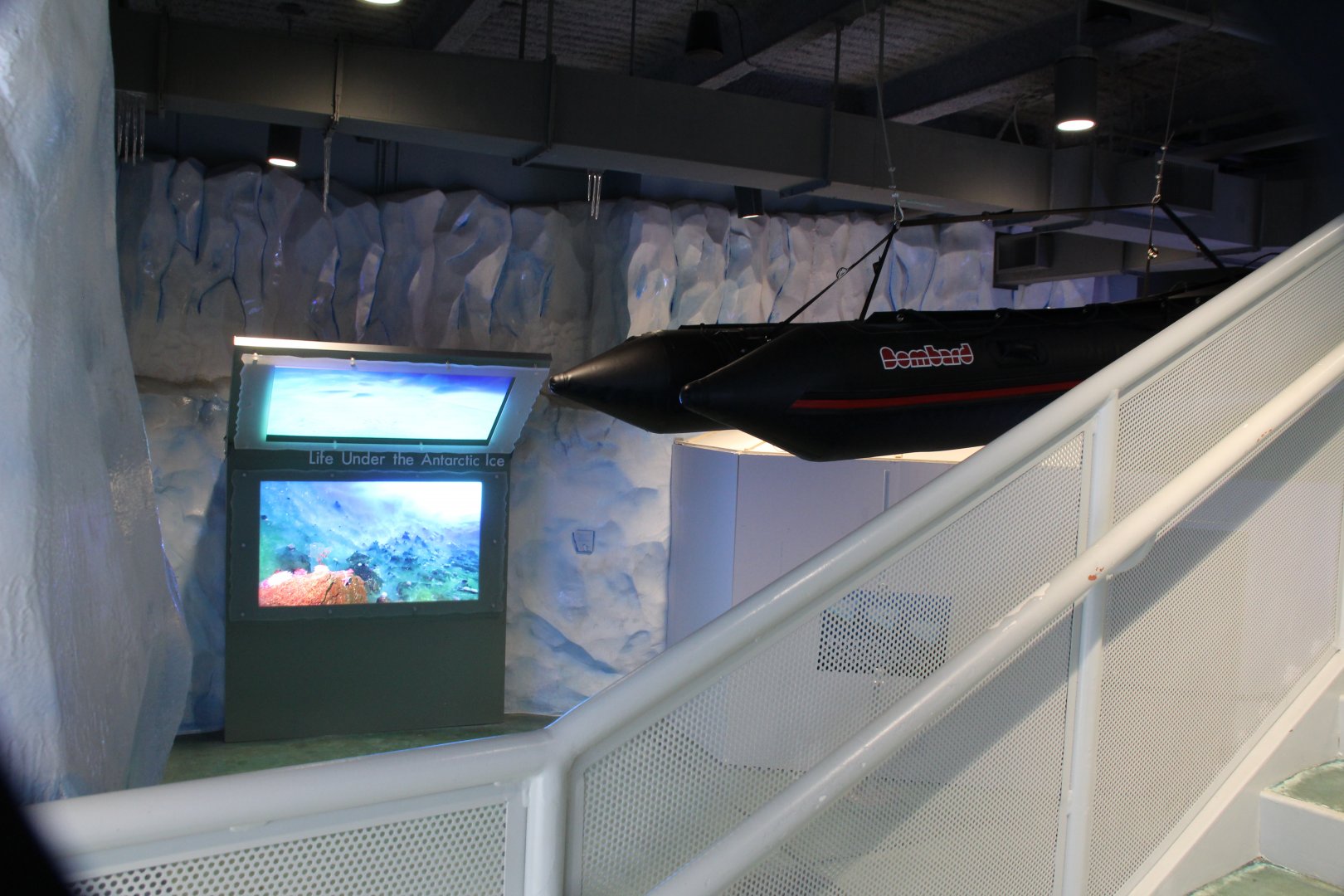 Detroit Zoo - Polk Penguin Conservation Center