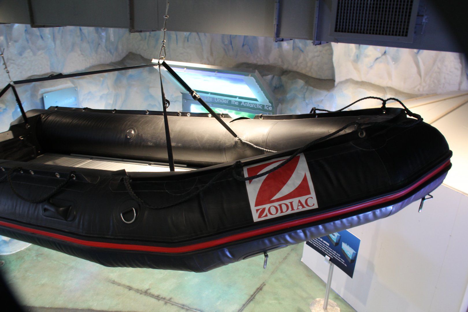 Detroit Zoo - Polk Penguin Conservation Center