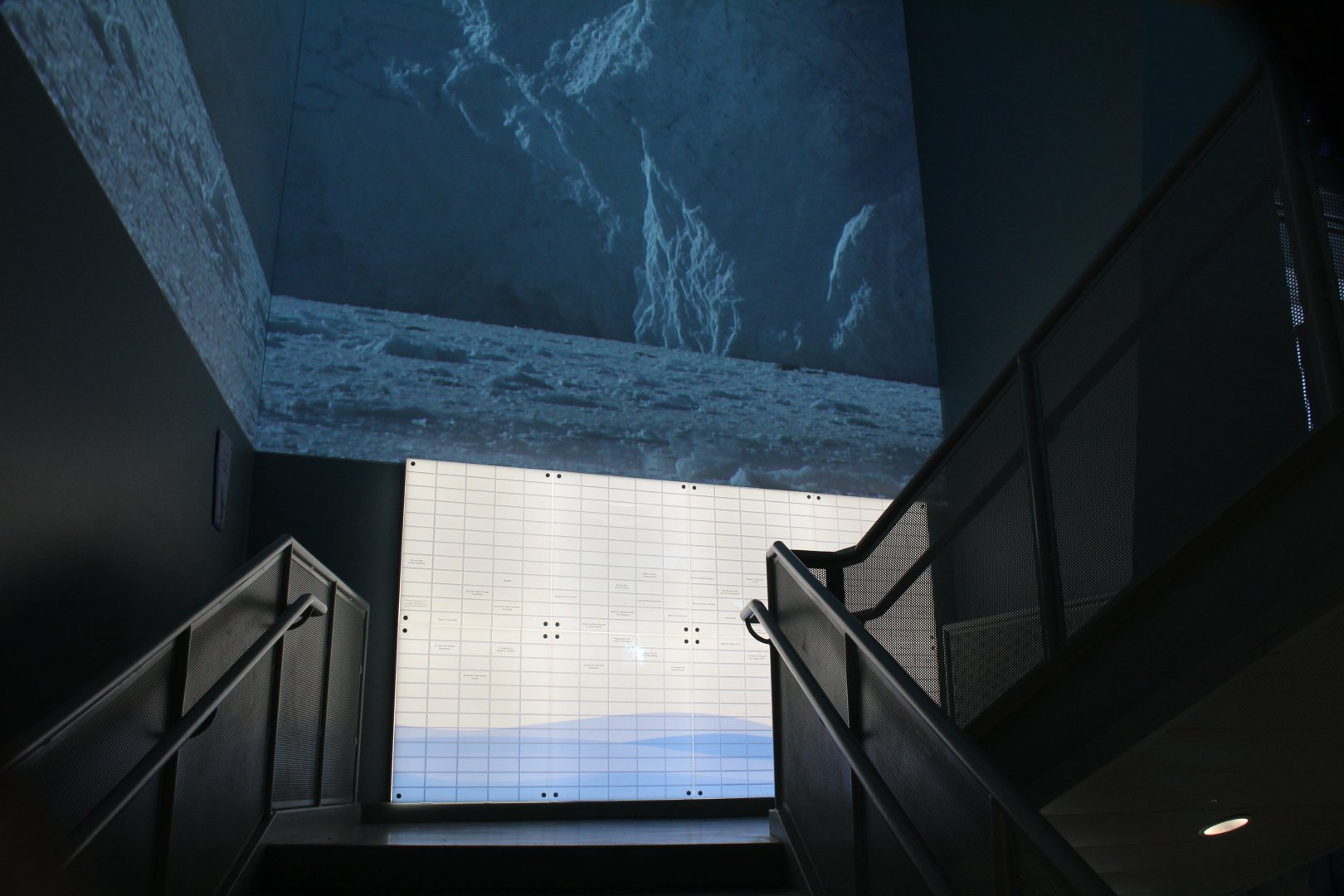 Detroit Zoo - Polk Penguin Conservation Center