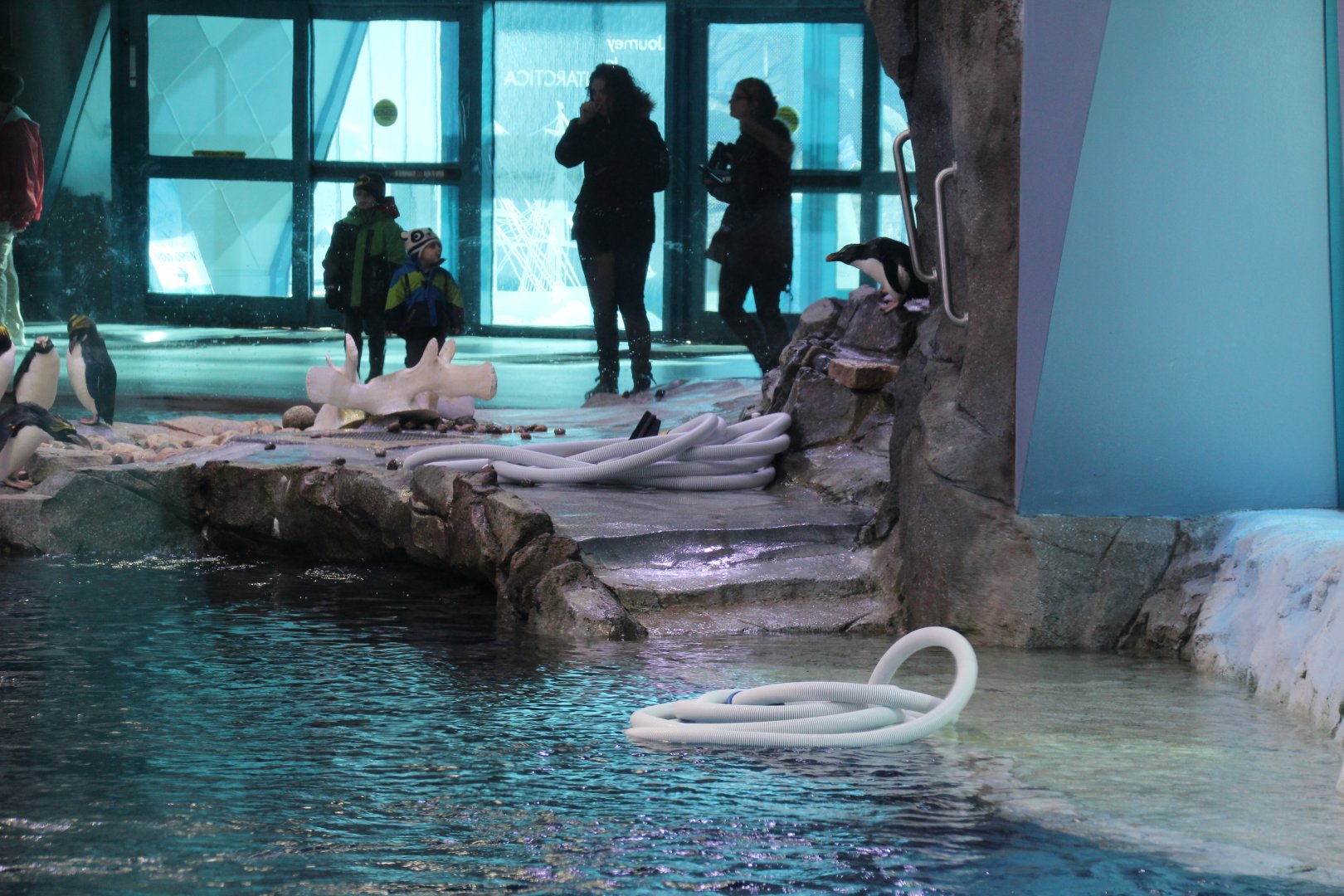 Detroit Zoo - Polk Penguin Conservation Center