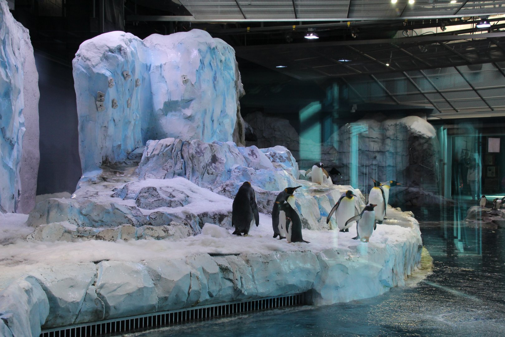 Detroit Zoo - Polk Penguin Conservation Center