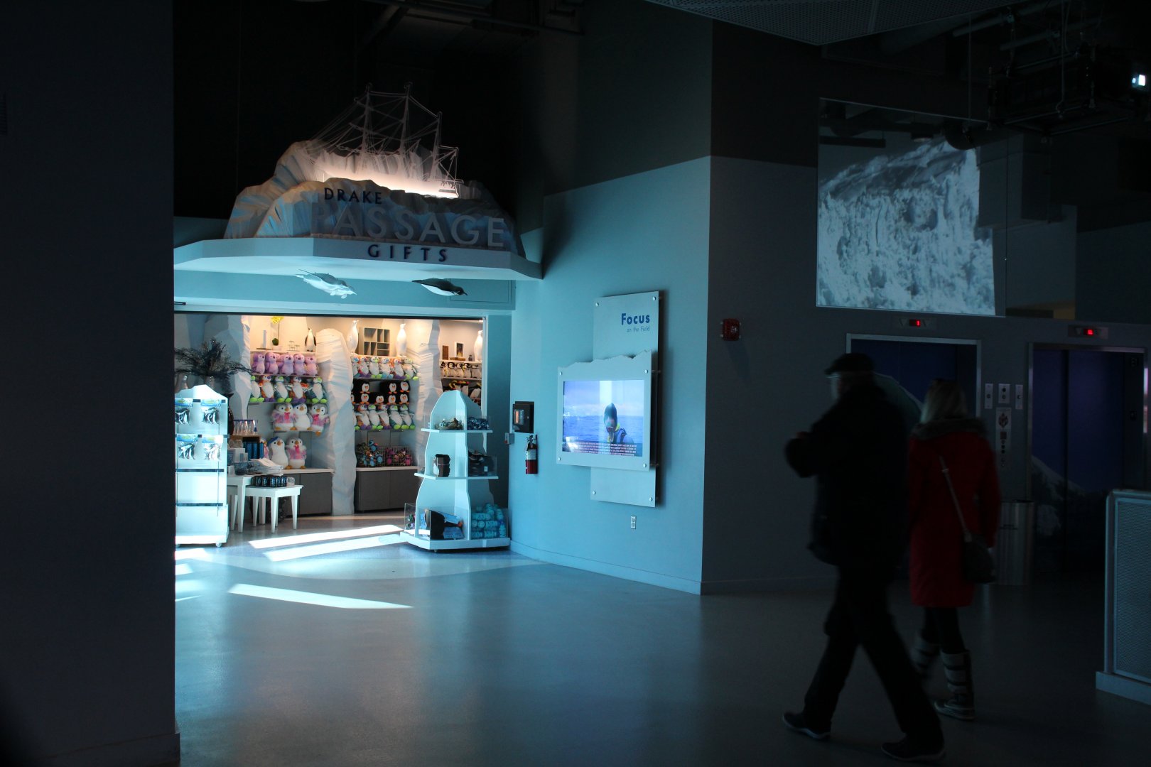 Detroit Zoo - Polk Penguin Conservation Center